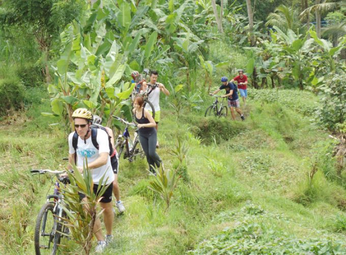 Bali Challenge Cycling by Banyan Tree Bike Tours